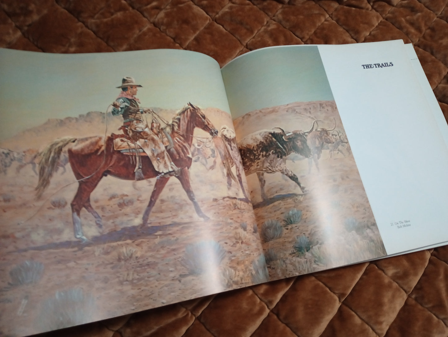 American Cowboy Soft Cover Book