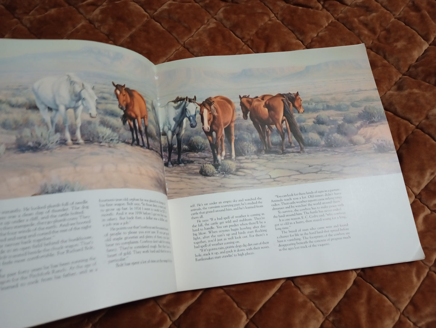 American Cowboy Soft Cover Book