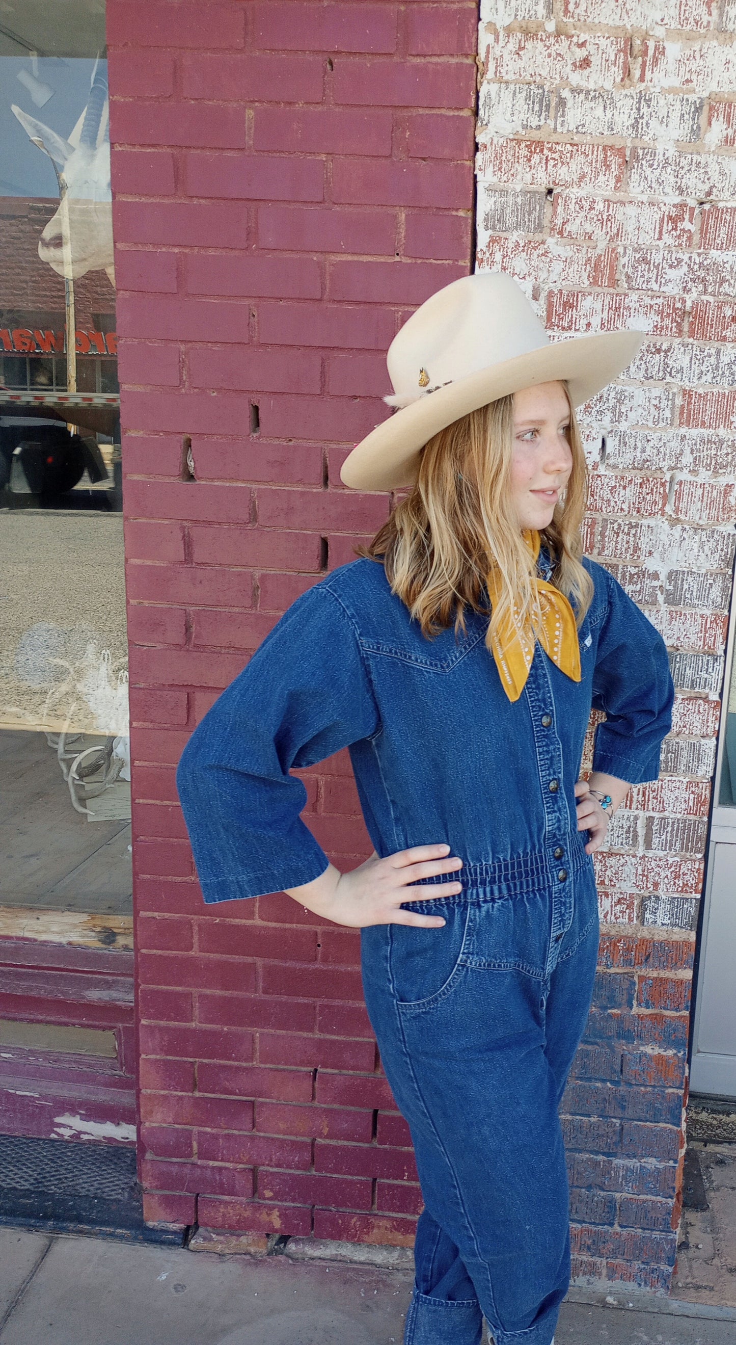 Lack of Color Felt hat with Hatband and Retro Style Horse Head Hat Pin