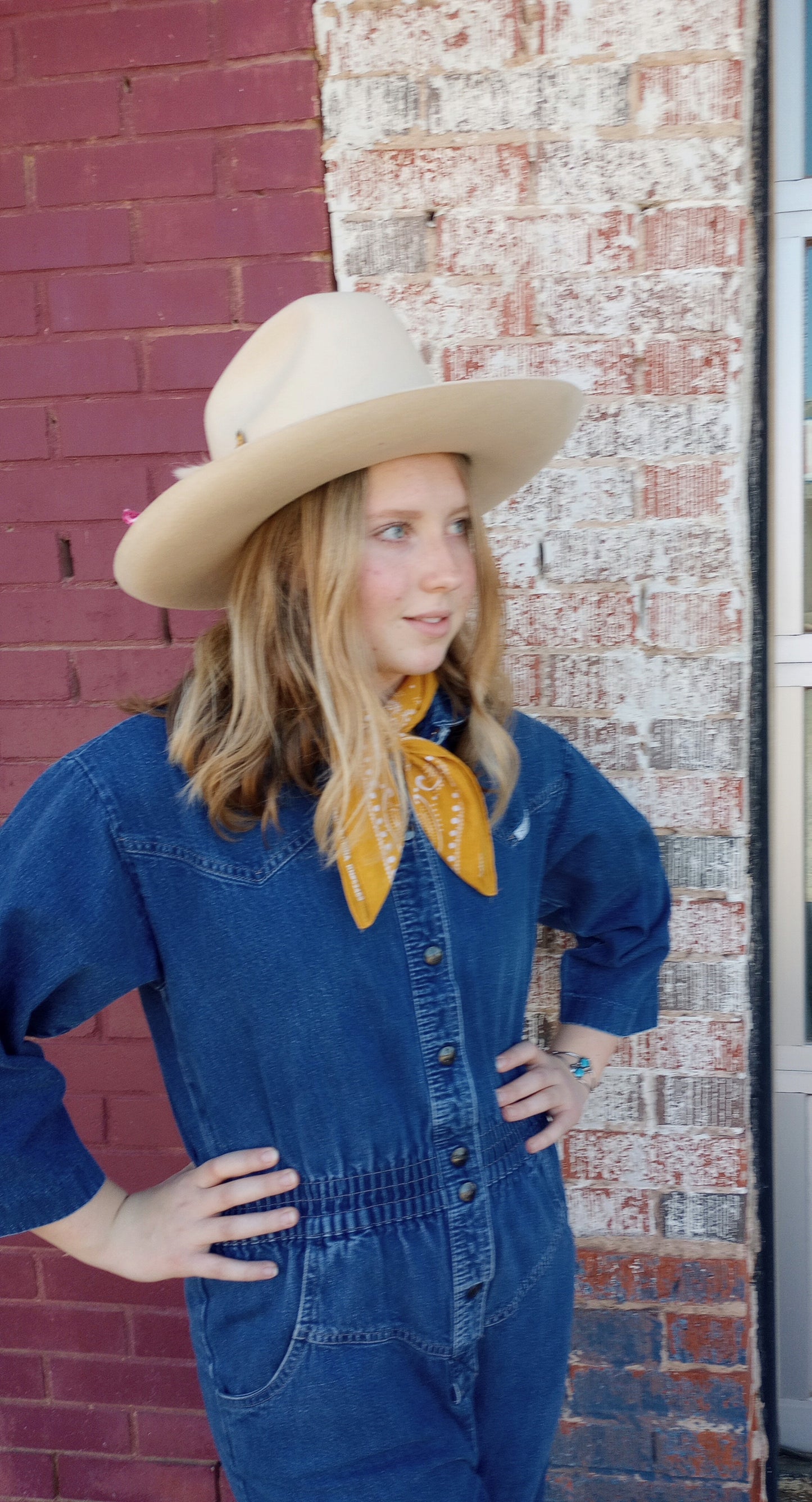 Lack of Color Felt hat with Hatband and Retro Style Horse Head Hat Pin