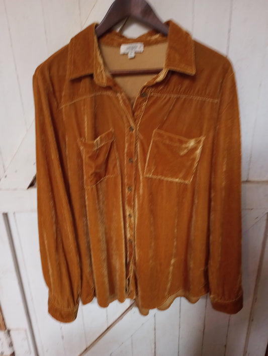 Gold Velvet Like Button Up Tunic Sz 1X