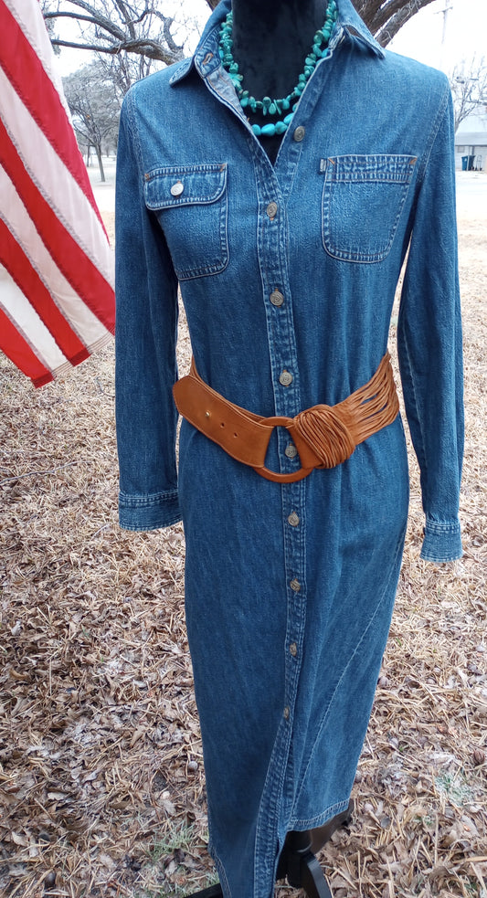 Ralph Lauren button up Dress