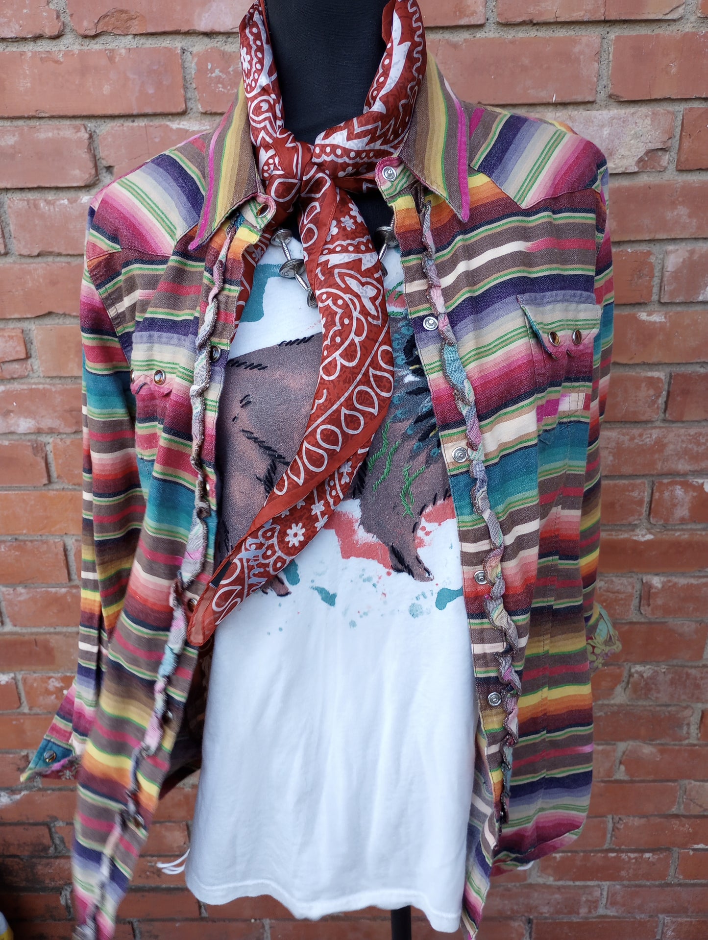 Tasha Polizzi Serape Print Pearl Snap Blouse
