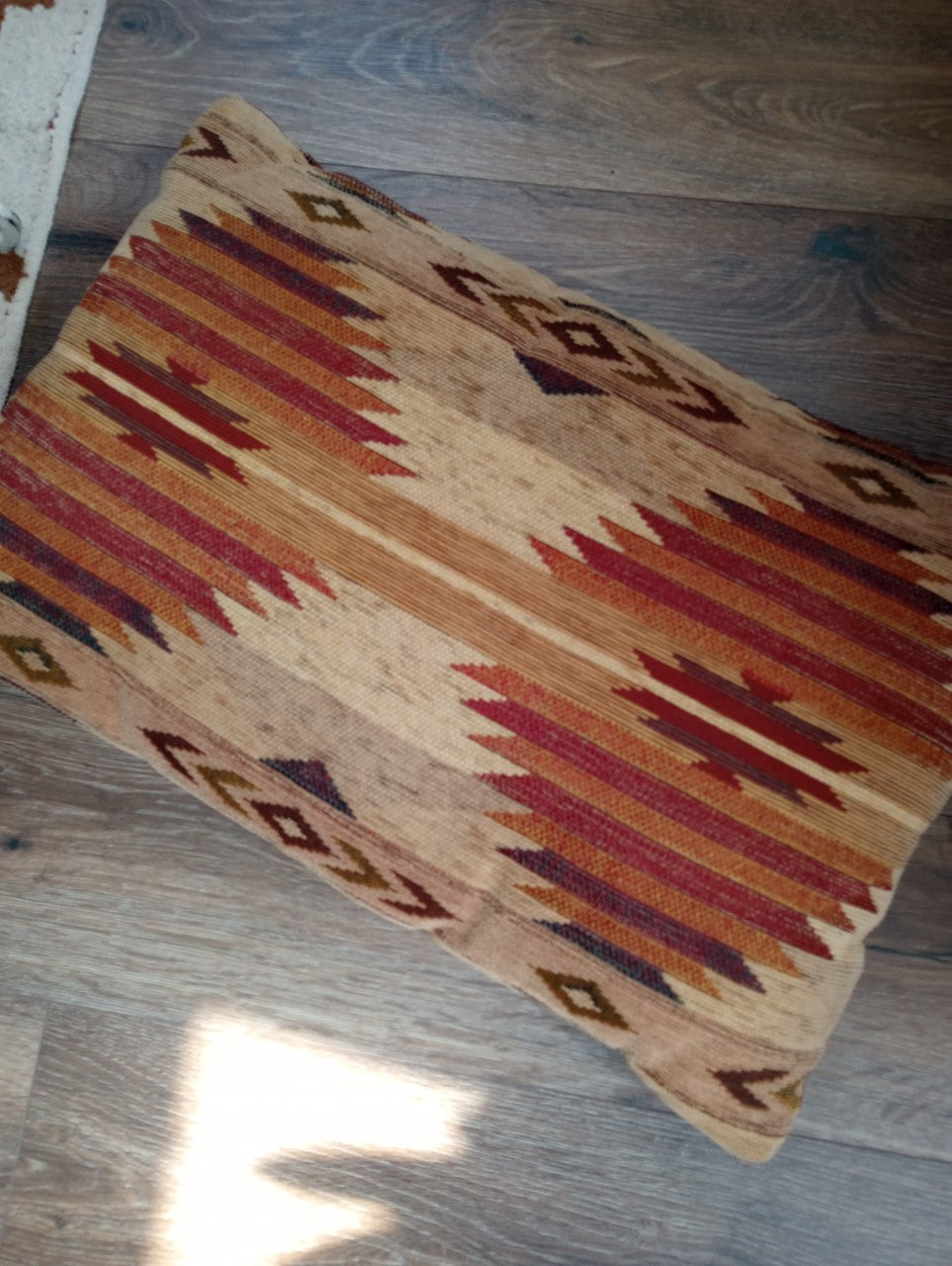 Southwest Print Pillow